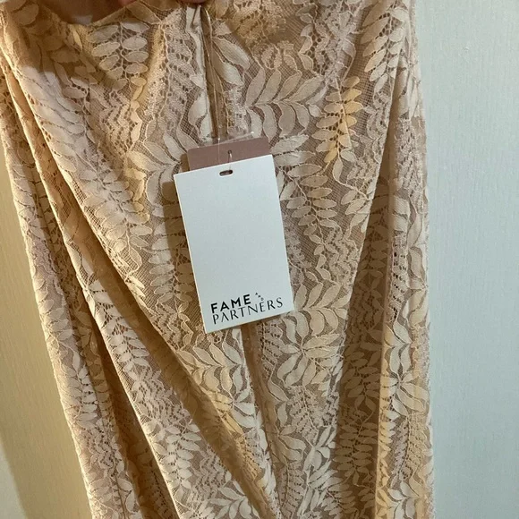 NWT Anthropologie Fame and Partners Sz 12 Blush Lace gown prom formal - Picture 5 of 7